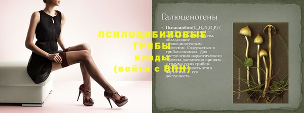 прущие крисы Горняк