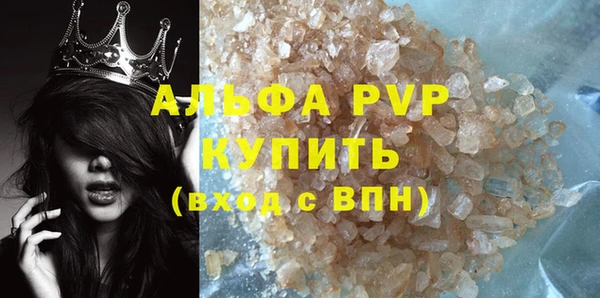 прущие крисы Горняк