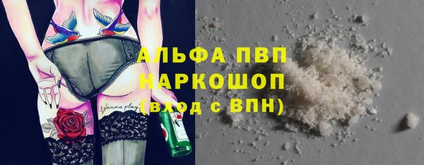 прущие крисы Горняк