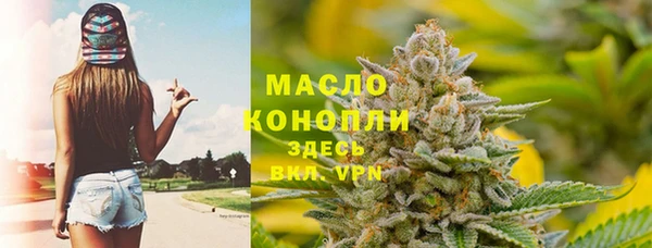 прущие крисы Горняк
