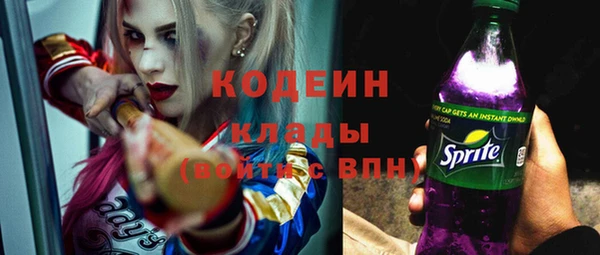 прущие крисы Горняк