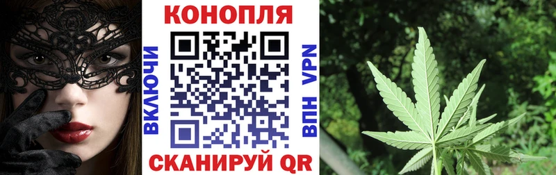 Канабис White Widow  Купить закладки  Красноярск 